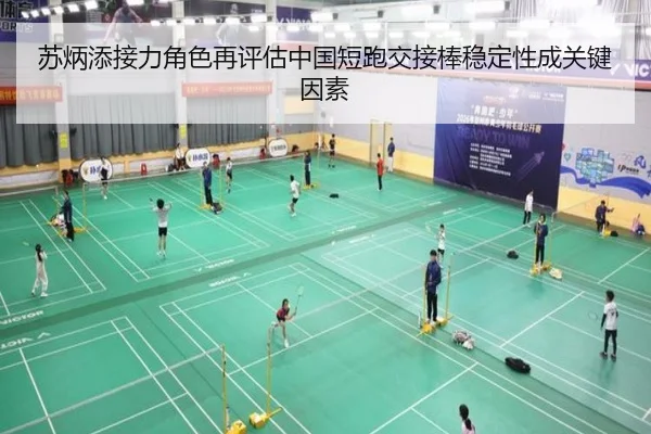 苏炳添接力角色再评估中国短跑交接棒稳定性成关键因素